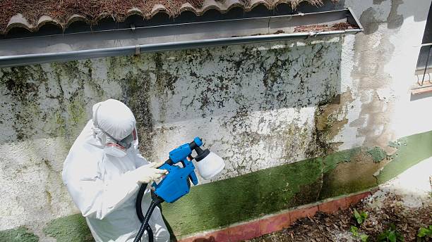 Trusted Crawl Space Mold Removal service in Knoxville, MD - Cheap Mold Removal